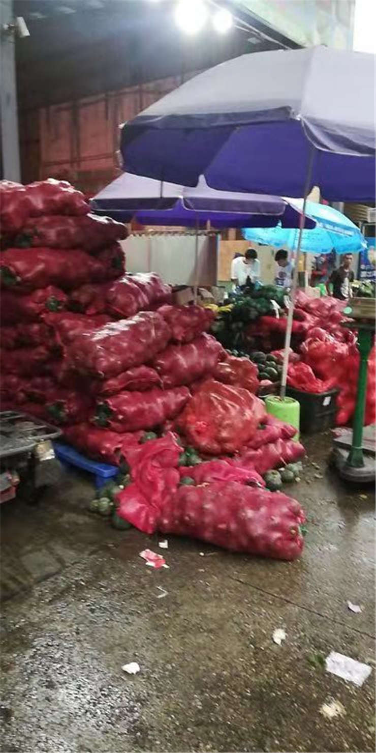 ��8ͷ�����(����)�ٷ���վ