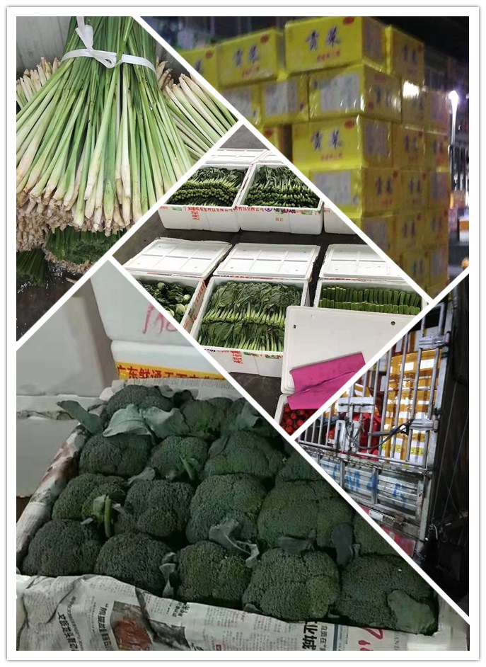 ��8ͷ�����(����)�ٷ���վ