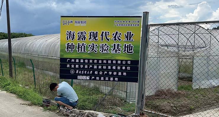 ��8ͷ�����(����)�ٷ���վ