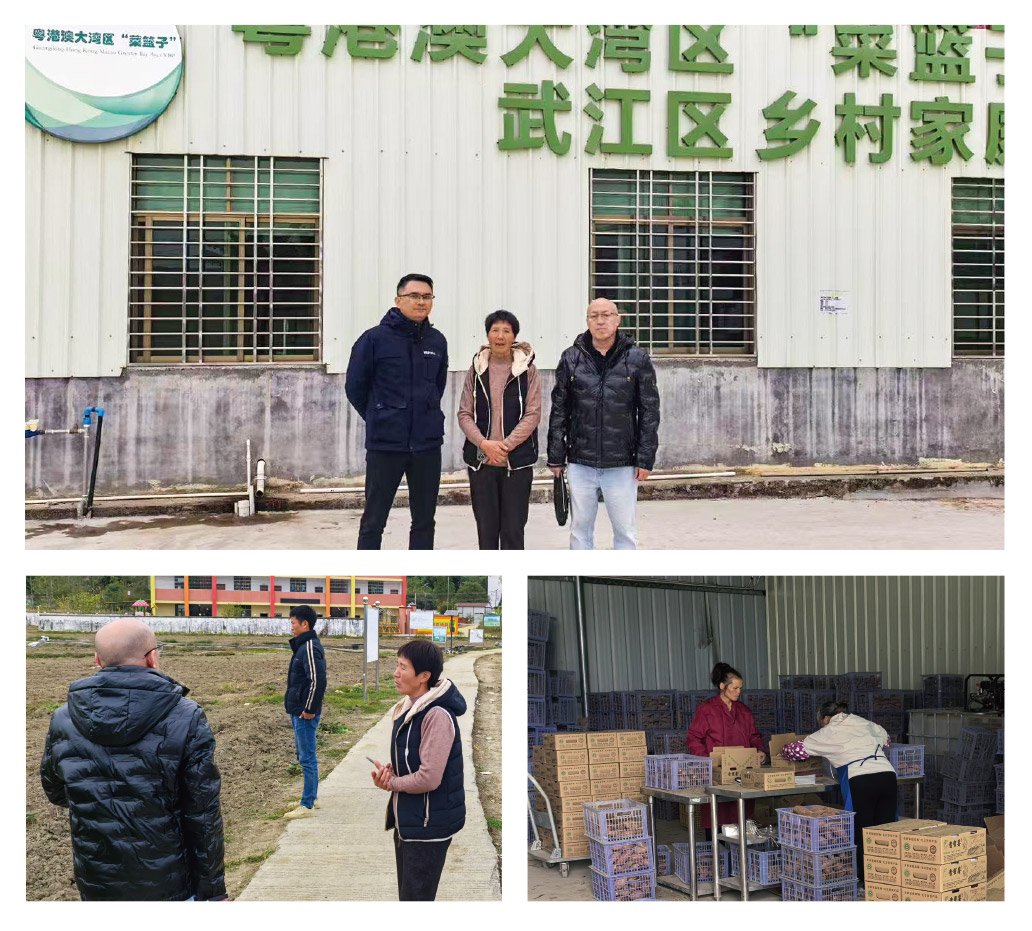 1-2412240942025K 龙8头等玩家(国际)官方网站