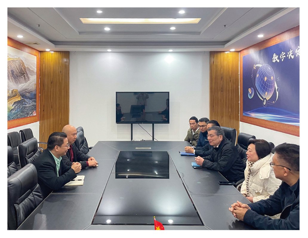 1-250210144029308 龙8头等玩家(国际)官方网站
