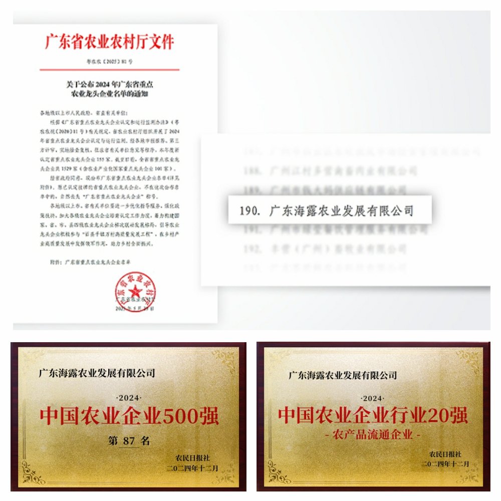 1-2506051411103H 龙8头等玩家(国际)官方网站