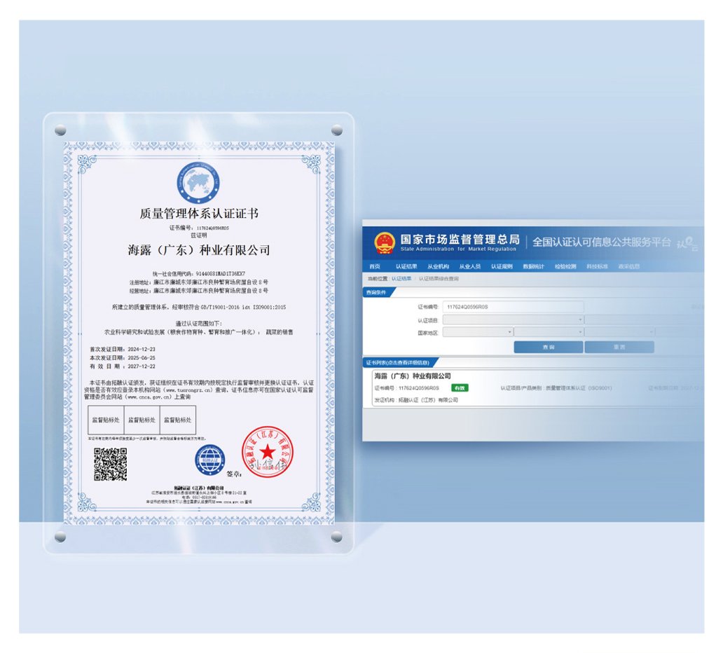 1-250G0144920947 龙8头等玩家(国际)官方网站